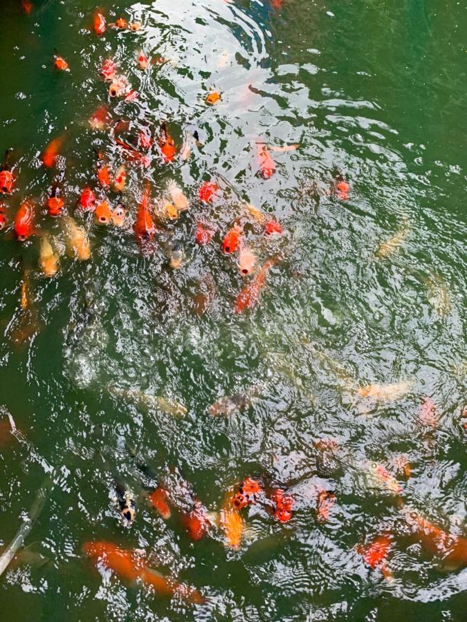 Amazon Resort Surat Thani Zewnętrze zdjęcie